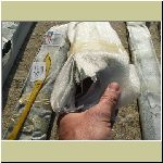 abris_piscine_livraison_refusee_20_9_2008_3.jpg
